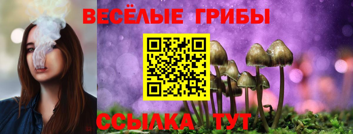 купить наркотики цена  Вход с VPN  Когалым  Галлюциногенные грибы Psilocybine cubensis 